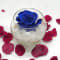 Reflet Royal Blue